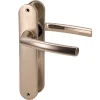 Paire de poignées plaques aluminium champagne 234 mm Bricard pour porte intérieur sans clés