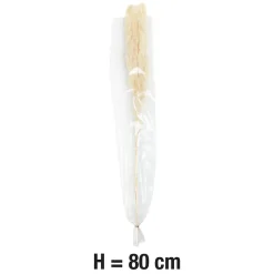Pampas blanches sechées H.80cm, 3 pièces JBY creation