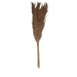 Pampas laineuses sechées H.75cm, 7 pièces JBY creation