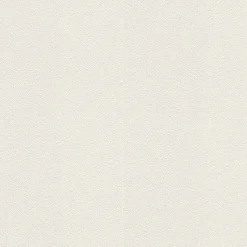 Papier peint à peindre vinyle intissé, texturé L.1000 x l.53cm, GoodHome Wampi