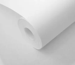 Papier peint à peindre vinyle intissé, lisse L.1000 x l.53cm Erismann