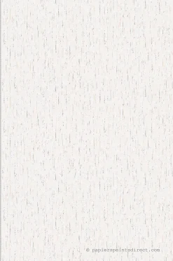 Papier peint duplex Uni L.10.05 x l.0.53 m. - Réf. SP14949