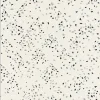 Papier peint expansé sur intissé Géométrique L.10.05 x l.0.53 m. - Réf. SP15243