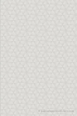 Papier peint expansé sur intissé Géométrique L.10.05 x l.0.53 m. - Réf. LTC-51232909