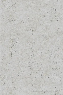 Papier peint expansé sur intissé Trompe l'oeil L.10.05 x l.0.53 m. - Réf. AS-369112