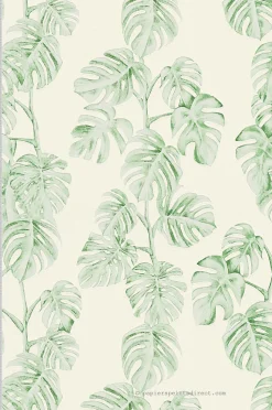 Papier peint expansé sur intissé Jungle L.10.05 x l.0.53 m. - Réf. SP15045
