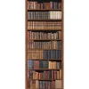 Papier peint intissé 250 cm X 96 cm, Collection de livres anciens, Photo d'une bibliothèque ancienne marron, Panoramique, Décorati