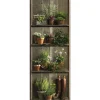 Papier peint intissé 250 cm X 96 cm, décor rustique avec étagère, plantes vertes et bottes anciennes