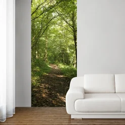 Papier peint intissé 250 cm X 96 cm, Forêt, Chemin, Promenade Panoramique - Photo Nature pour Décoration Murale