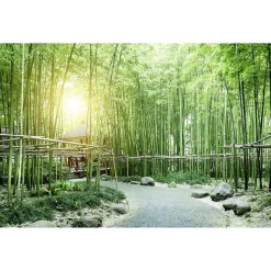 Papier peint intissé BAMBOUS VERTS zen 400 x 270 cm (LxH) - Tapisserie murale panoramique XXL, Made in France par Scenolia