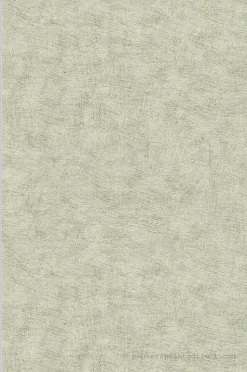 Papier peint intissé Ecodeco : sans PVC, durable et résistant Uni L.10.05 x l.0.53 m. - Réf. MC-HE27205