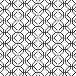 Papier peint intissé Jardin Secret Lutece mat et satiné hexagone blanc, noir l.1000 x l.53 cm