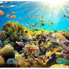Papier peint intissé panoramique paysage underwater land 350x245 cm