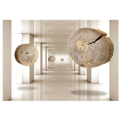 Papier peint intissé panoramique 3d et perspective cercles de bois volants 350x245 cm