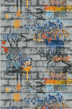 Papier peint intissé Trompe l'oeil L.10.05 x l.0.53 m. - Réf. LTC-51242709