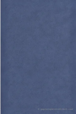 Papier peint intissé Uni L.10.05 x l.0.53 m. - Réf. LTC-11202311