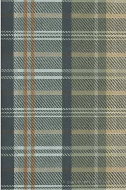 Papier peint intissé Vintage L.10.05 x l.0.53 m. - Réf. LTC-MP15565