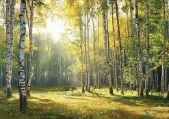 Papier Peint Intissé Panoramique Pour Chambre Cuisine 3D Forêt Vert 350x250