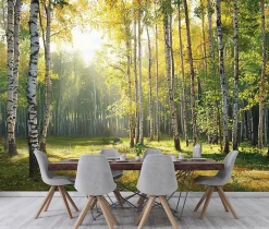 Papier Peint Intissé Panoramique Pour Chambre Cuisine 3D Forêt Vert 350x250