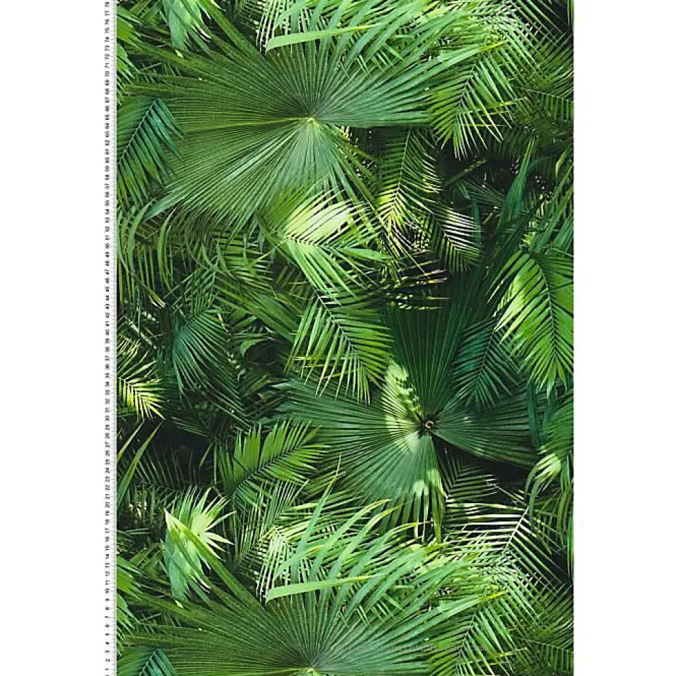 Papier peint Jungle Palm - Vert - A.S. CREATION - 10 x 0,53m - Chambre - A coller - Floral et végétal