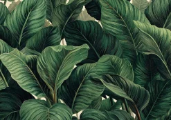 Papier Peint Panoramique Intissé Feuilles Jungle Vert - 350x250 cm - Papier Peint Chambre et salon
