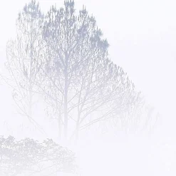 Papier peint panoramique Brumes matinales, Bleu 300 x 250cm