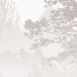 Papier peint panoramique Brumes matinales, Beige 300 x 250cm
