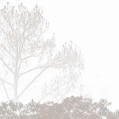 Papier peint panoramique Brumes matinales, Beige 375 x 250cm
