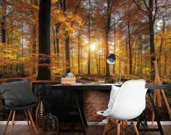 Papier Peint Panoramique Intissé Forêt Arbres Brun - 400x280 cm - Papier Peint Chambre et salon