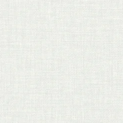Papier peint vinyle intissé uni structuré blanc L.1000 x l.52 cm GoodHome Shung