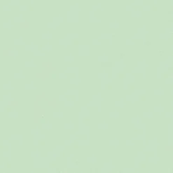 Papier peint vinyle intissé uni vert L.1005 x l.53 cm GoodHome Aune