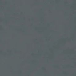 Papier peint Vinyle Intissé GoodHome Izier gris anthracite