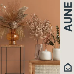 Papier peint vinyle intissé uni orange terracotta L.53 x l.1005 cm GoodHome Aune