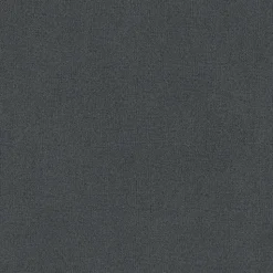 Papier peint vinyle intissé uni aspect tissu gris anthracite L.1005 x l.53cm GoodHome, Mythe