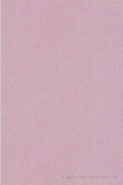 Papier peint vinyle sur intissé Uni L.10.05 x l.0.53 m. - Réf. AS-399882