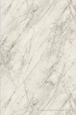 Papier peint vinyle sur intissé Contemporain L.10.05 x l.0.53 m. - Réf. AS-388172