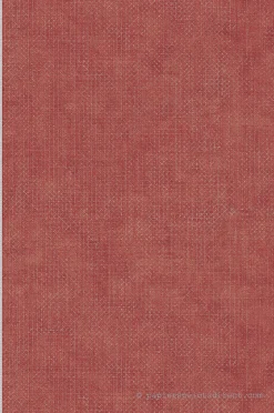 Papier peint vinyle sur intissé Contemporain L.10.05 x l.0.53 m. - Réf. AS-388268