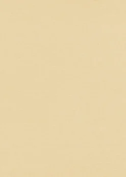 Papier peint vinyle sur intissé uni casual beige L.1005 x l.53cm Erismann
