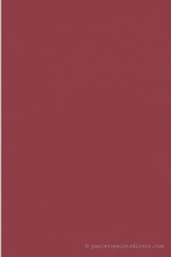 Papier peint vinyle sur intissé Uni L.10.05 x l.0.53 m. - Réf. SP15922