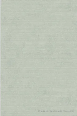 Papier peint vinyle sur intissé Uni L.10.05 x l.0.53 m. - Réf. LTC-51233104