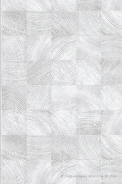 Papier peint vinyle sur intissé pré-encollé Trompe l'oeil L.10.05 x l.0.53 m. - Réf. LTC-51252009