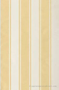 Papier peint vinyle sur intissé Classique L.10.05 x l.0.53 m. - Réf. MC-23672