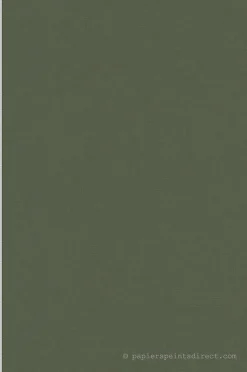 Papier peint vinyle sur intissé Uni L.10.05 x l.0.53 m. - Réf. AS-392663