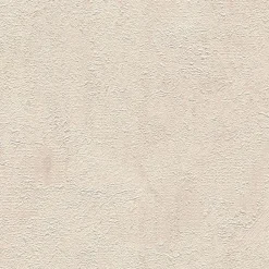 Papier peint vinyle sur intissé Uni L.10.05 x l.0.53 m. - Réf. AS-369249