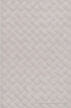 Papier peint vinyle sur intissé Trompe l'oeil L.10.05 x l.0.53 m. - Réf. MC-TA25070