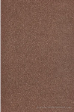 Papier peint vinyle sur intissé Uni L.10.05 x l.0.53 m. - Réf. MC-TA25026