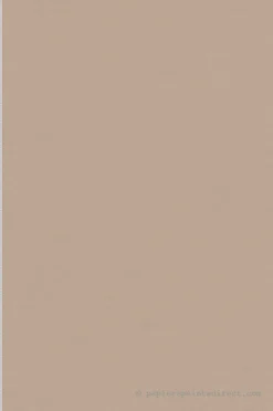 Papier peint vinyle sur intissé Uni L.10.05 x l.0.53 m. - Réf. SP15924