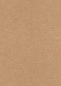 Papier peint vinyle sur intissé uni casual brun marron L.1005 x l.53cm Erismann