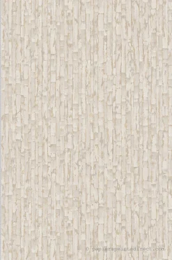 Papier peint vinyle sur intissé Contemporain L.10.05 x l.0.53 m. - Réf. AS-786661