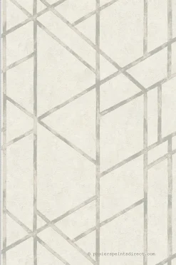 Papier peint vinyle sur intissé Contemporain L.10.05 x l.0.53 m. - Réf. SP14706